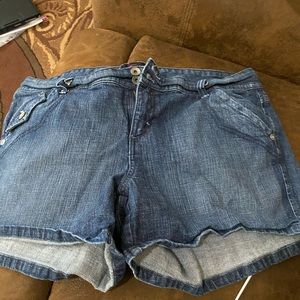 Torrid Shorts